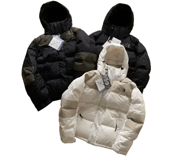 North Face Gore-Tex Puffer Down Jacket
