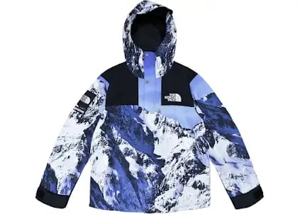 Supreme x North Face Mountain Parka Jacket